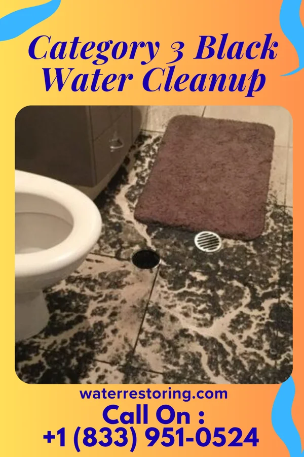 Category 3 Black Water Cleanup in East Lexington, VA