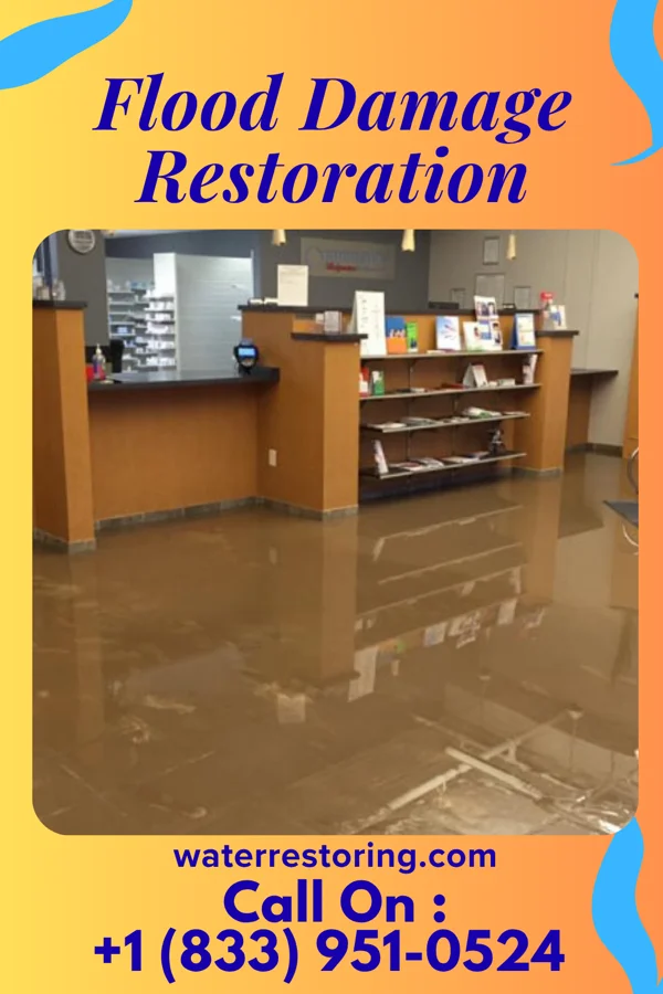 Flood Damage Restoration in East Lexington, VA