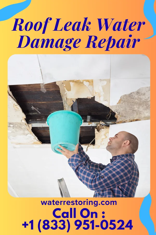 Roof Leak Water Damage Repair in East Lexington, VA