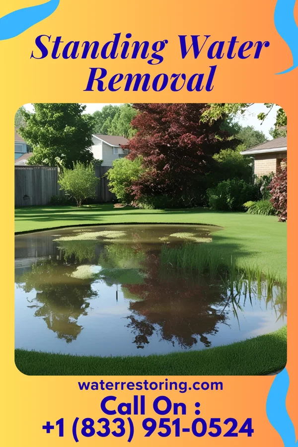 Standing Water Removal in East Lexington, VA